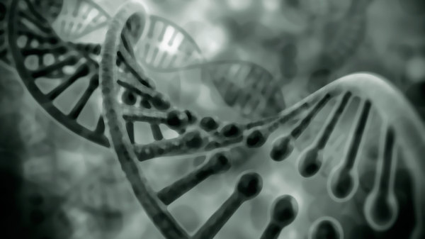 Med thumb genetic need for sleep
