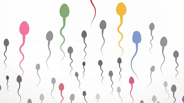 Med thumb sperm main