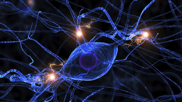 Med thumb alzheimers neurons main