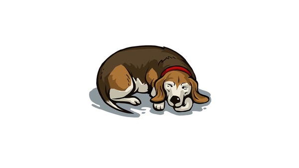 Med thumb dog sleeping position main