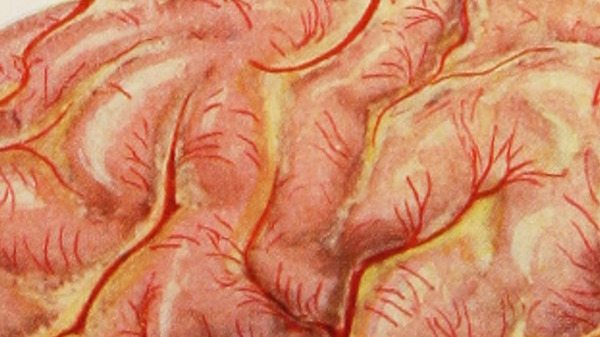 Med thumb 14597700047 21cf6ab0d8 o