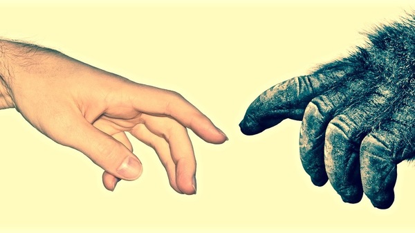 Med thumb shutterstock 122948293