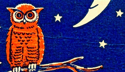 Did Owls and Larks Evolve Because Sleeping in Shifts Promoted Survival?